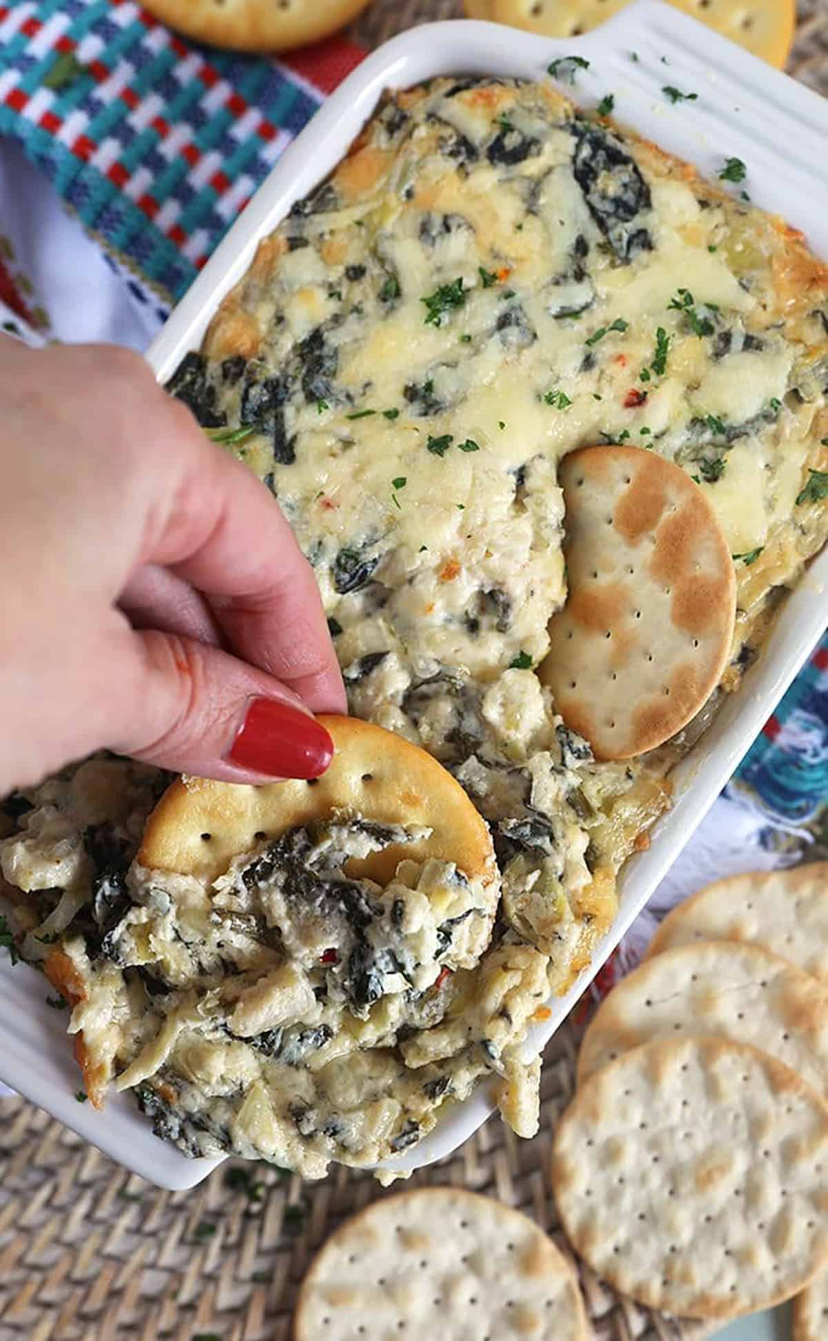 overhead view of a hand dipping a round butter cracker into a baking dish with spinach artichoke dip