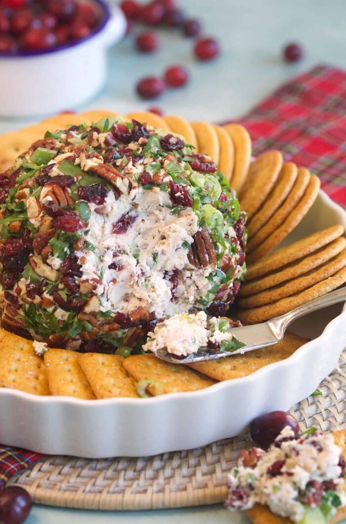 Cranberry Pecan Cheese Ball The Suburban Soapbox