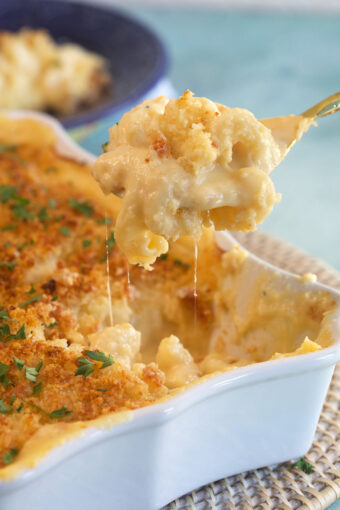 Homemade Baked Mac and Cheese - The Suburban Soapbox