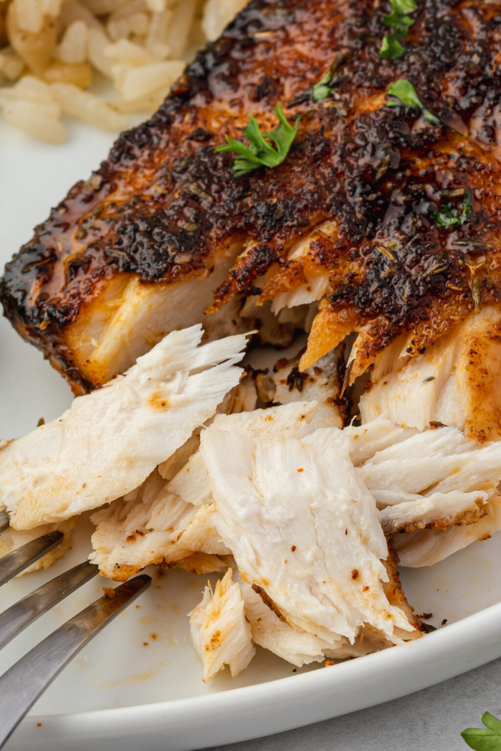 Blackened Mahi Mahi The Suburban Soapbox