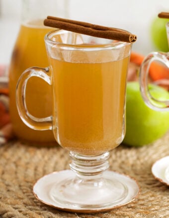 Homemade apple cider in mug with cinnamon stick