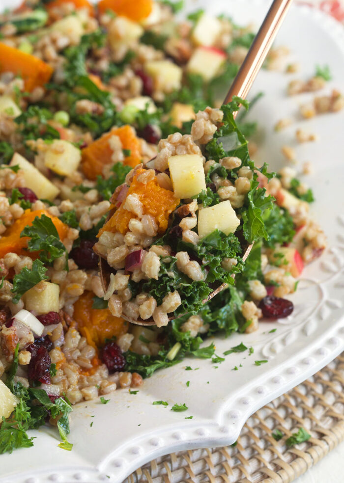 Autumn Farro Salad The Suburban Soapbox