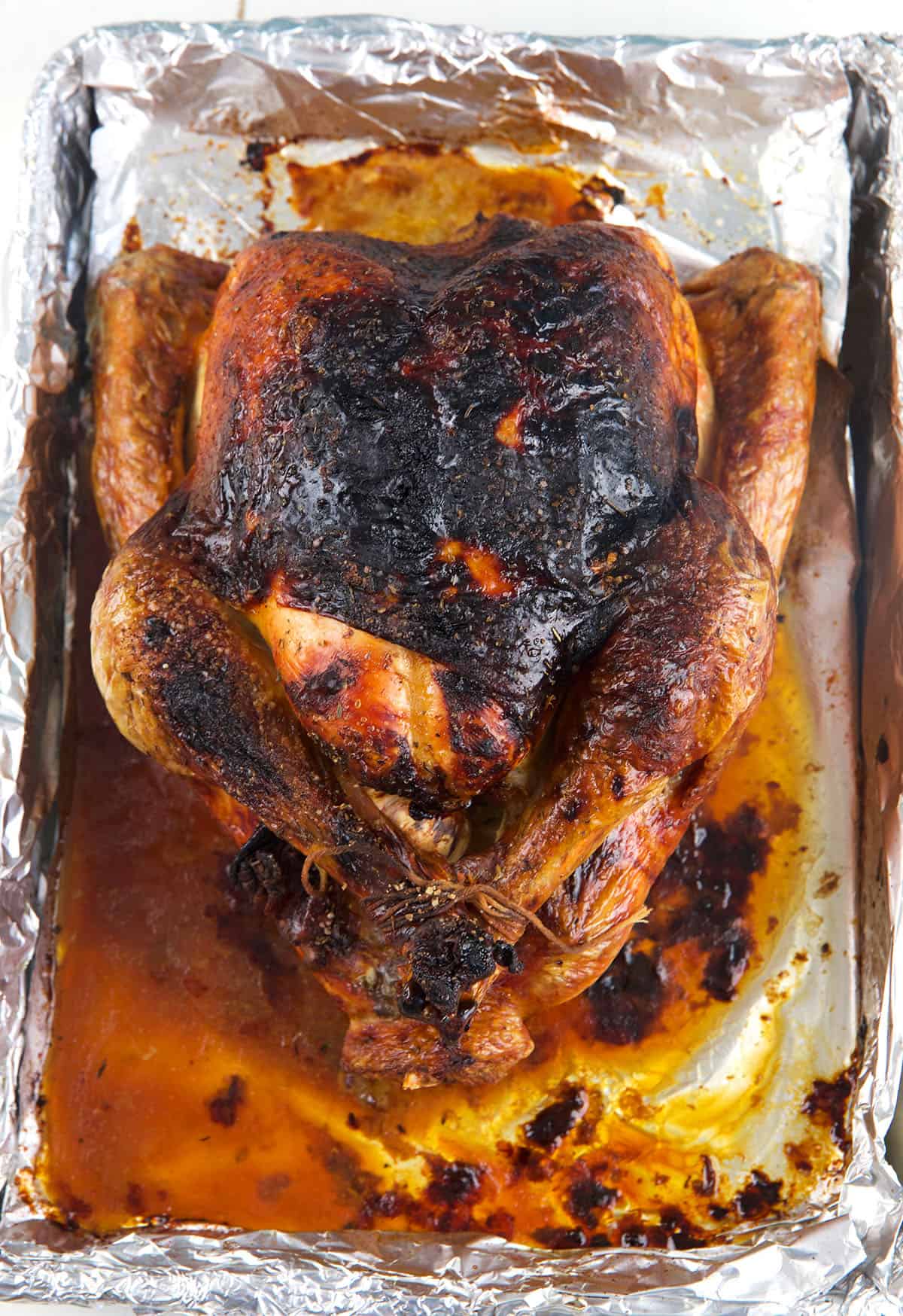 A whole roast turkey is presented on a roasting pan.