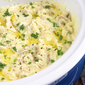 A crockpot is filled with mashed potatoes.