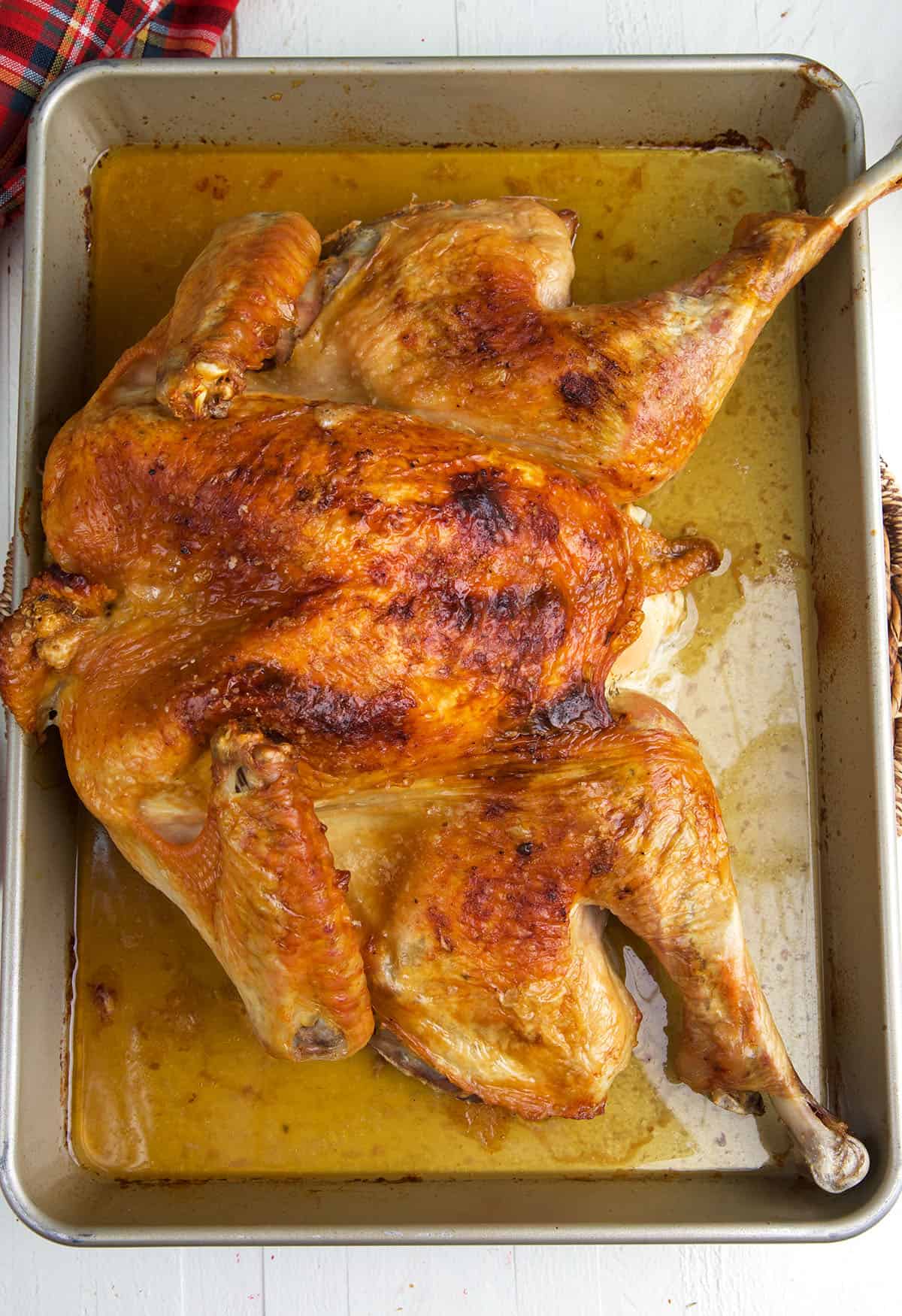 A spatchcock turkey is presented on a roasting pan.