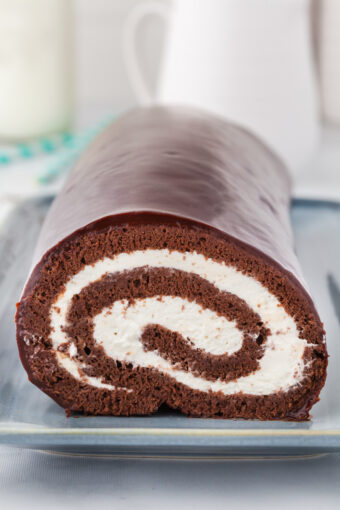 A chocolate swiss roll is presented with a perfect swirl in the center.