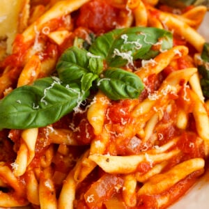 Pasta with arrabbiata sauce on plate