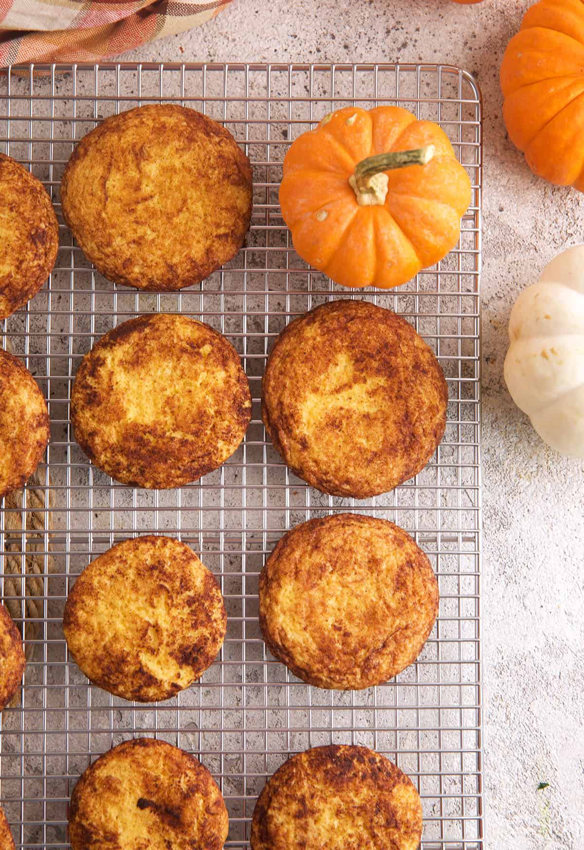 Overhead view of pumpkin snickerdoodles on wire rack