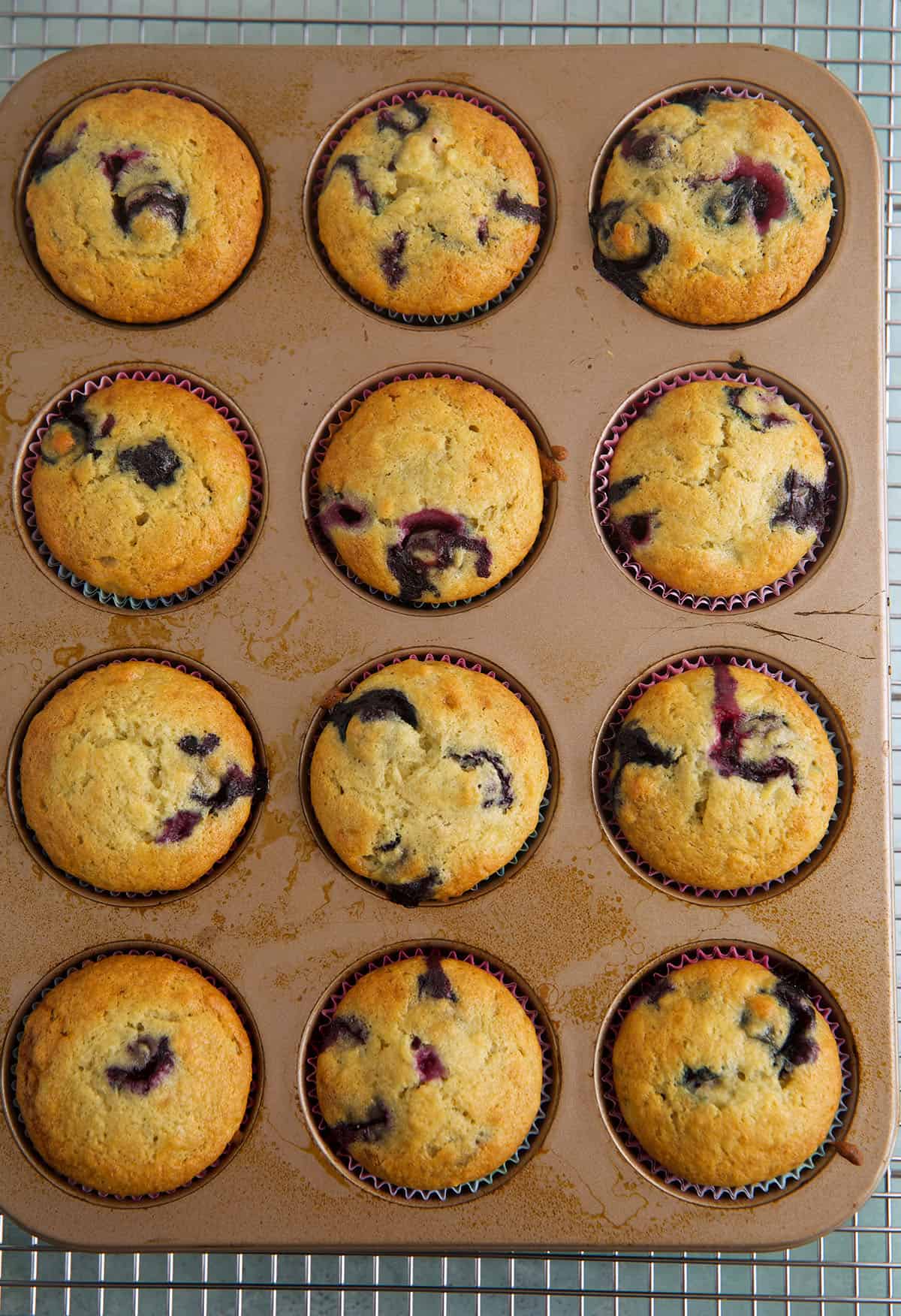 Overhead view of banana blueberry muffins in pan