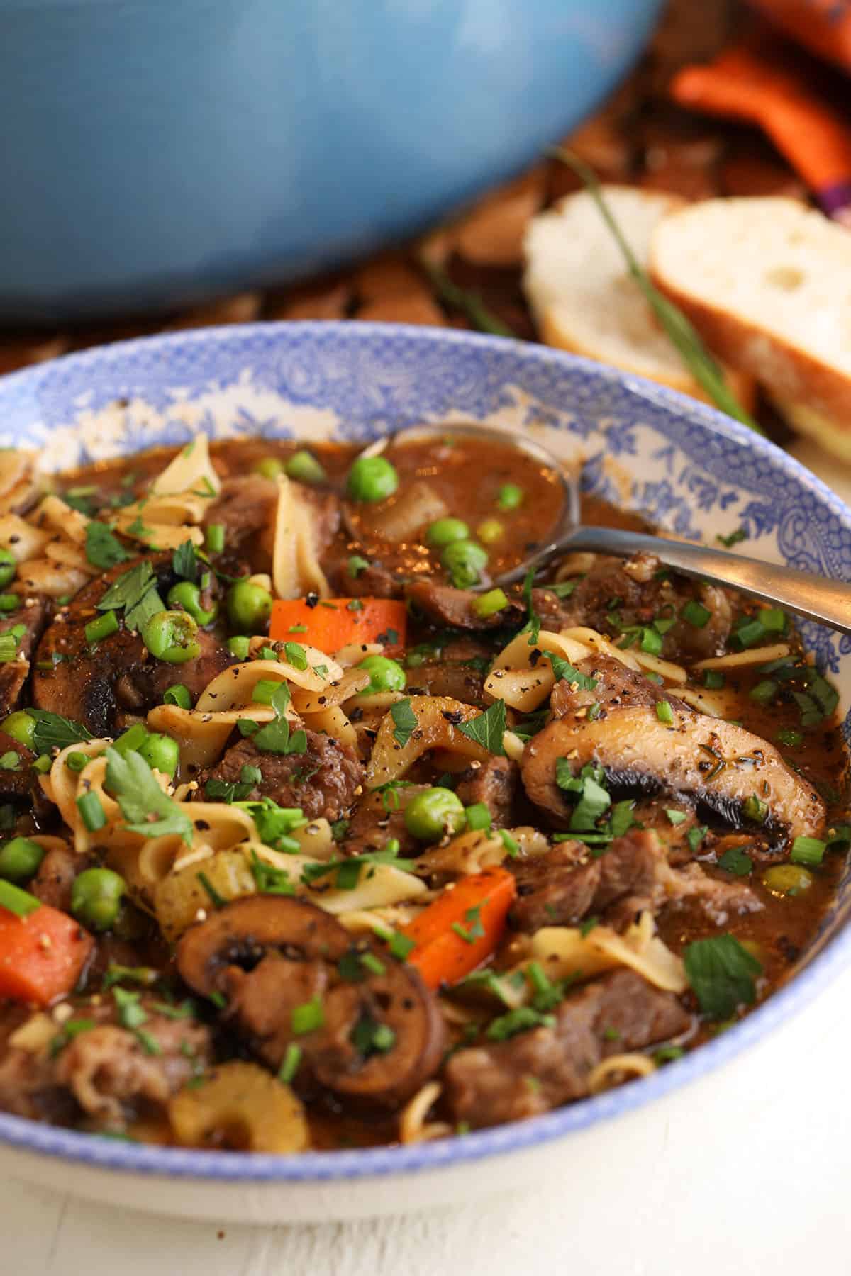 Bowl of braised beef noodle soup