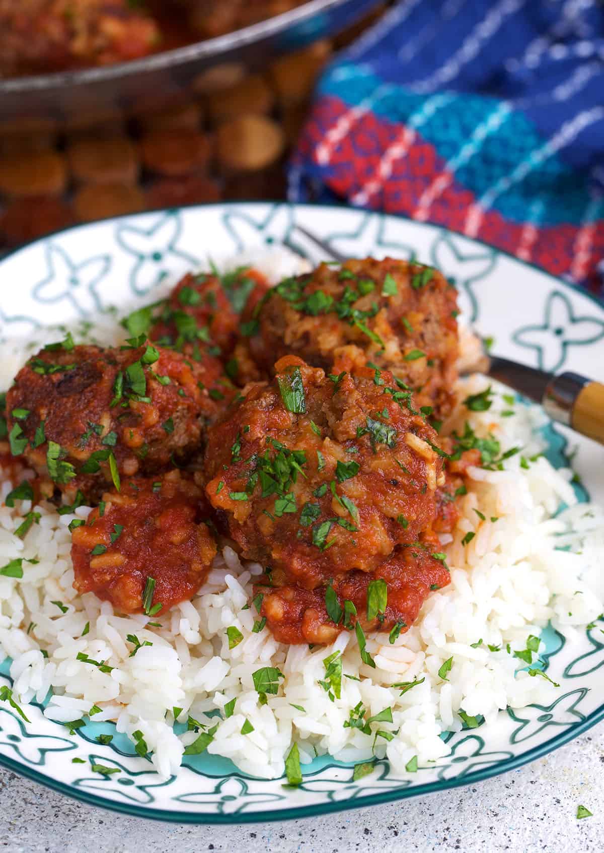 Porcupine Meatballs with sauce over a bed of rice on a fun, quirky plate