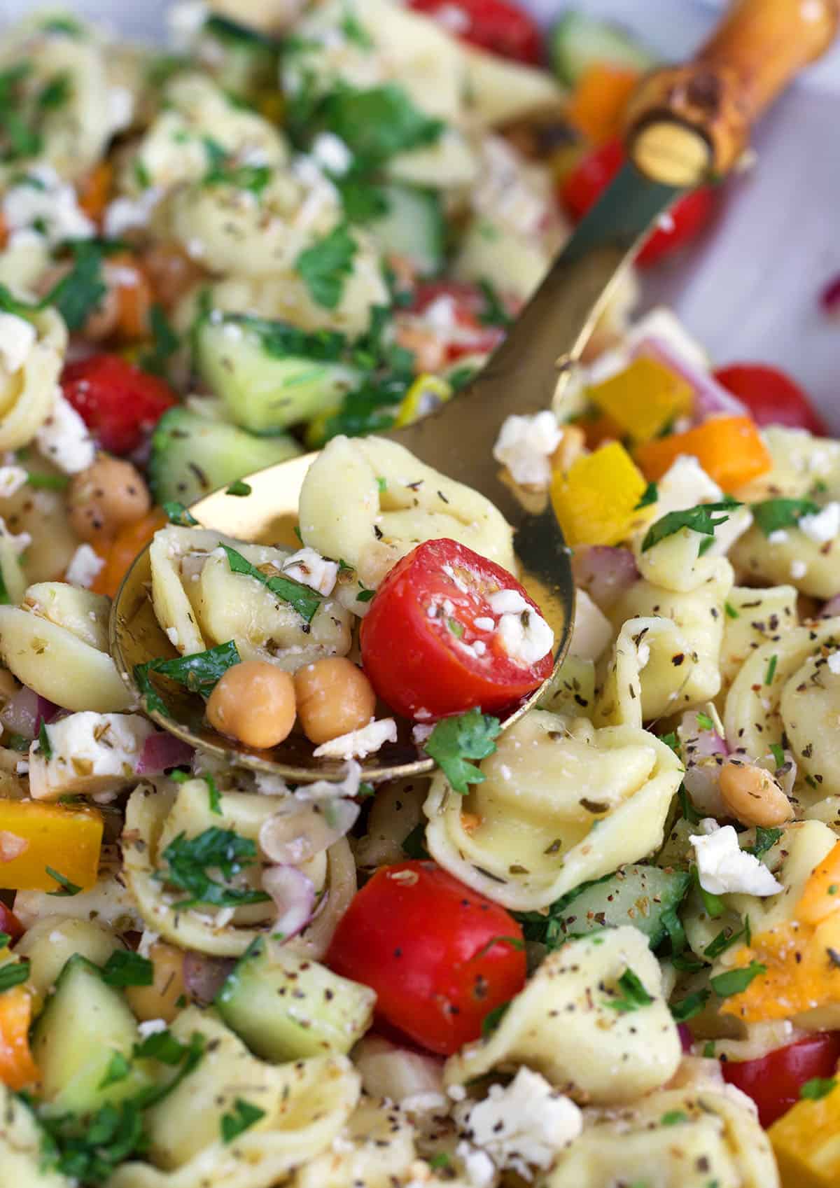 Greek tortellini salad on a serving spoon.