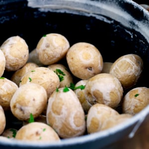 Syracuse salt potatoes in a black staub dutch oven